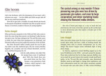 Alternative view 6 of Gin Drinker's Toolkit