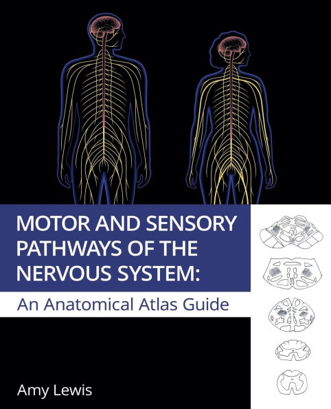 Motor and Sensory Pathways of the Nervous System
