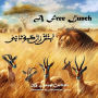 A Free Lunch (أَبِنْثِنْ رَانَ كَيوْتَا نٜىٰ): A Big Cats' Tale (لاَ