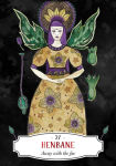 Alternative view 2 of Deadly Apothecary Oracle: Poisonous plants as guides and healers
