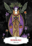 Alternative view 3 of Deadly Apothecary Oracle: Poisonous plants as guides and healers