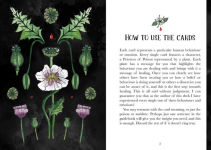 Alternative view 8 of Deadly Apothecary Oracle: Poisonous plants as guides and healers