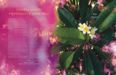 Alternative view 15 of Creating Paradise: The art of making joy and love real