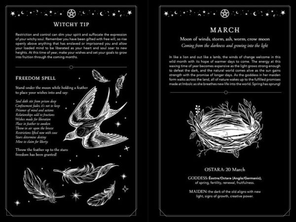 2025 Witch's Diary - Northern Hemisphere: Seasonal planner to reclaiming the magick of the old ways