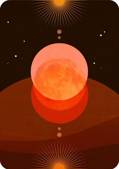 Wild Whispers Oracle: Messages from the desert