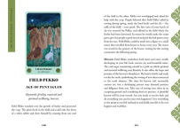 Alternative view 14 of Mythologia Fennica Tarot: Embrace ancient Finnish wisdom