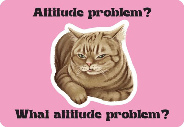 Cattitude: Attitude of the day: cat edition