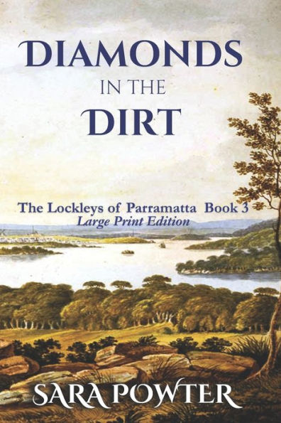 Diamonds in the Dirt: Large Print Edition