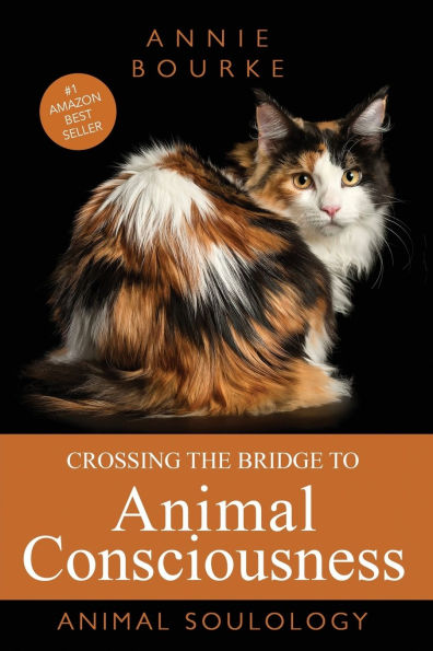 Crossing the Bridge to Animal Consciousness: Soulology