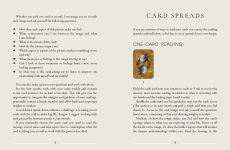 Alternative view 11 of Ancestral Healing Oracle