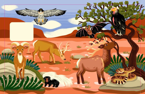 Grand Canyon National Park: Lift The Fact