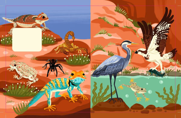 Grand Canyon National Park: Lift The Fact