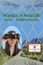 Wanda: A New Life - Hidden Secrets