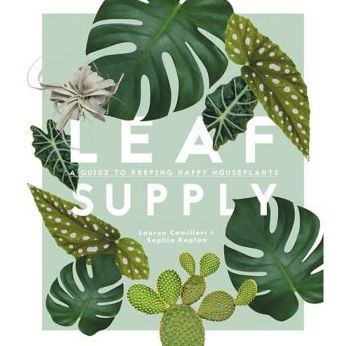 Leaf Supply: A Guide to Keeping Happy House Plants