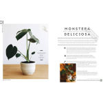 Alternative view 3 of Leaf Supply: A Guide to Keeping Happy House Plants