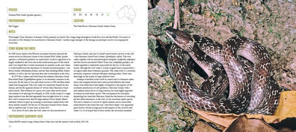 A Tribute to the Reptiles and Amphibians of Australia and New Zealand