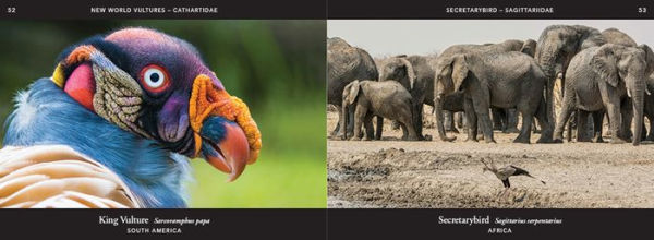 World of Birds: A Stunning Photographic Celebration of the Planet's Birdlife