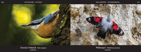 World of Birds: A Stunning Photographic Celebration of the Planet's Birdlife