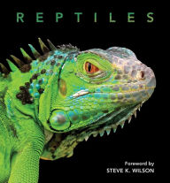 Title: Reptiles, Author: Steve Wilson