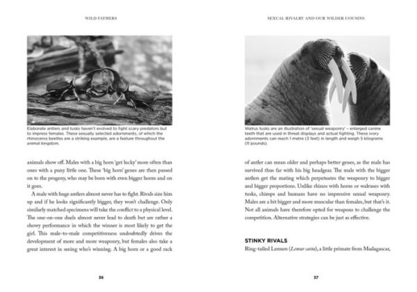 Wild Fathers: What Wild Animal Dads Teach Us About Fatherhood