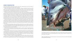 Alternative view 6 of Diving With Sharks