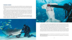 Alternative view 9 of Diving With Sharks
