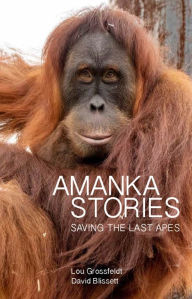 Title: Amanka Stories: Saving the Last Apes, Author: Lou Grossfeldt