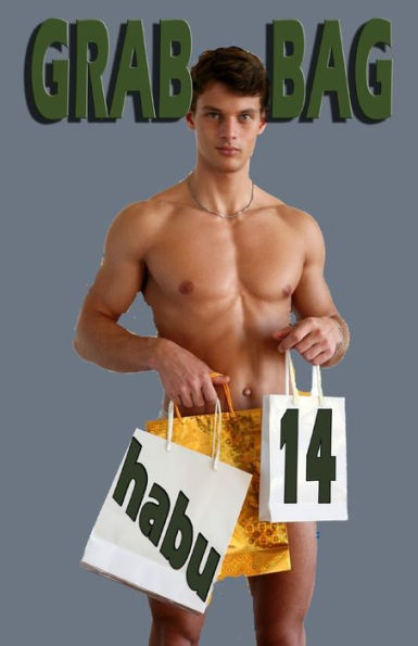 Grab Bag 14: A Gay Erotica Anthology