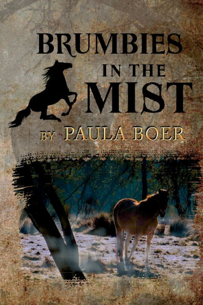 Brumbies the Mist