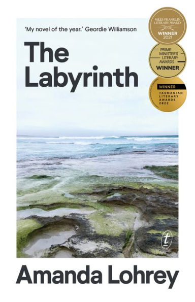 The Labyrinth: Winner of the 2021 Miles Franklin Literary Award