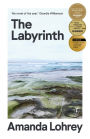 The Labyrinth: Winner of the 2021 Miles Franklin Literary Award