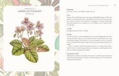 Alternative view 3 of The Language of Houseplants: Plants for home and healing