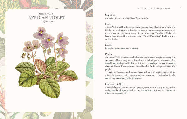 The Language of Houseplants: Plants for home and healing