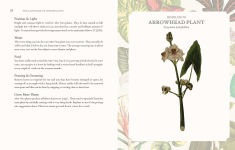 Alternative view 4 of The Language of Houseplants: Plants for home and healing