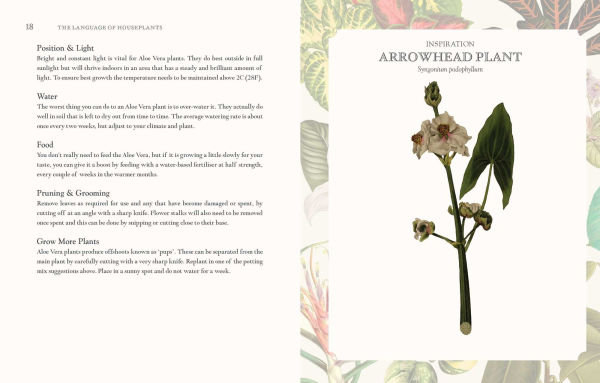 The Language of Houseplants: Plants for home and healing
