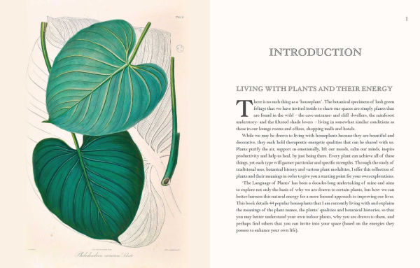 The Language of Houseplants: Plants for home and healing