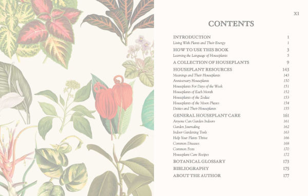 The Language of Houseplants: Plants for home and healing