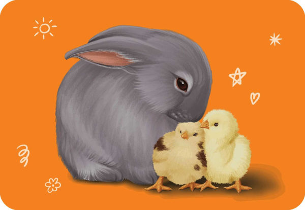 Unusual Animal Friendships: Love found in unexpected places