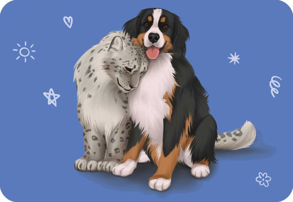 Unusual Animal Friendships: Love found in unexpected places