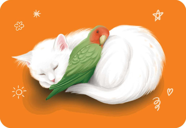 Unusual Animal Friendships: Love found in unexpected places