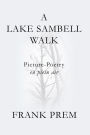 A Lake Sambell Walk: Picture-Poetry en plein air