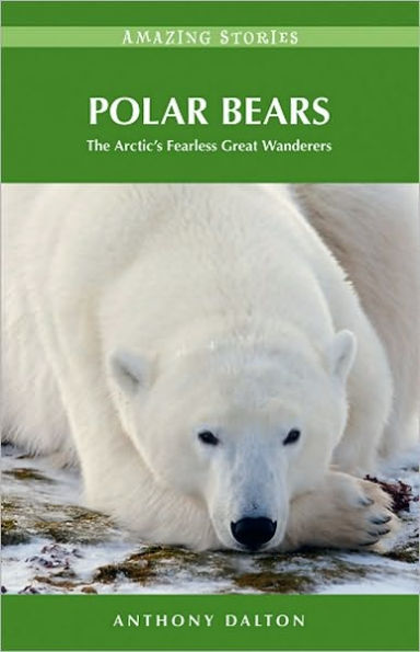 Polar Bears: The Arctic's Fearless Great Wanderers