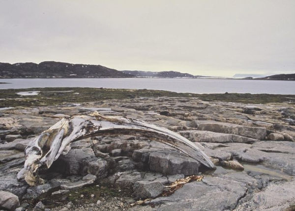 Inuit and Whalers on Baffin Island Through German Eyes: Wilhelm Weike's Arctic Journal and Letters (1883-84)