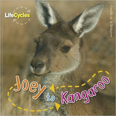 Joey to Kangaroo by Camilla de La Bedoyere, Paperback ...