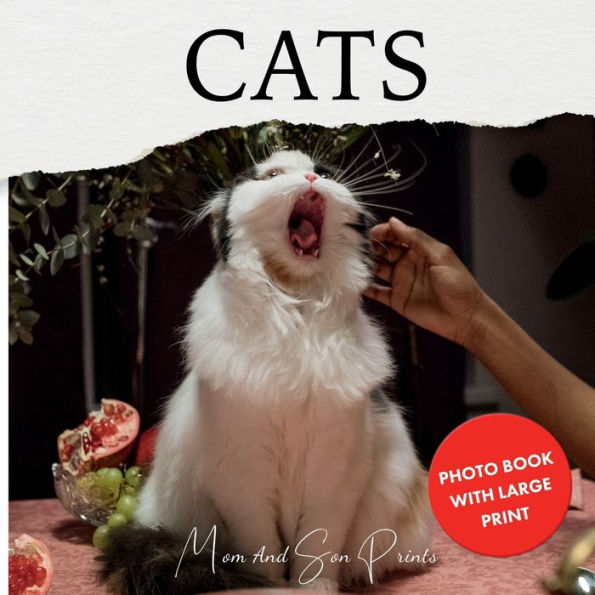Cats: Photo Book With Large Print