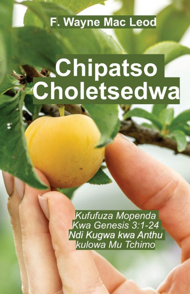 Forbidden Fruit - Chichewa Edition: Kufufuza Mopenda kwa Genesis 3:1-24 ndi Kugwa Anthu kulowa Mu Tchimo