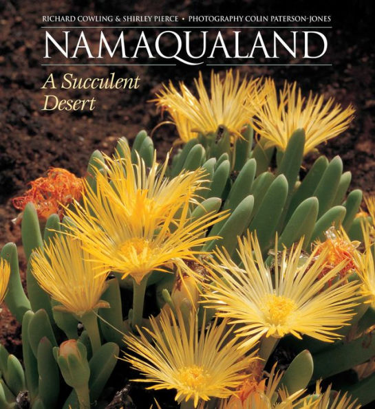 Namaqualand: A Succulent Desert