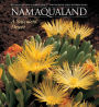 Namaqualand: A Succulent Desert