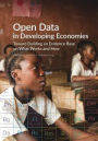 Open Data in Developing Economies: Toward Building an Evidence Base on What Works and How