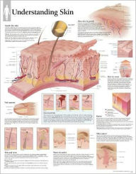 Title: Understanding Skin chart, Author: Scientific Publishing